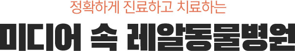 정확하게 진료하고 치료하는 미디어 속 레알동물병원