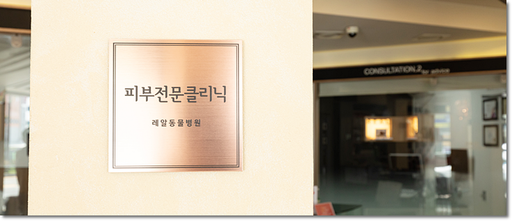 레알피부전문동물병원 입구 정면