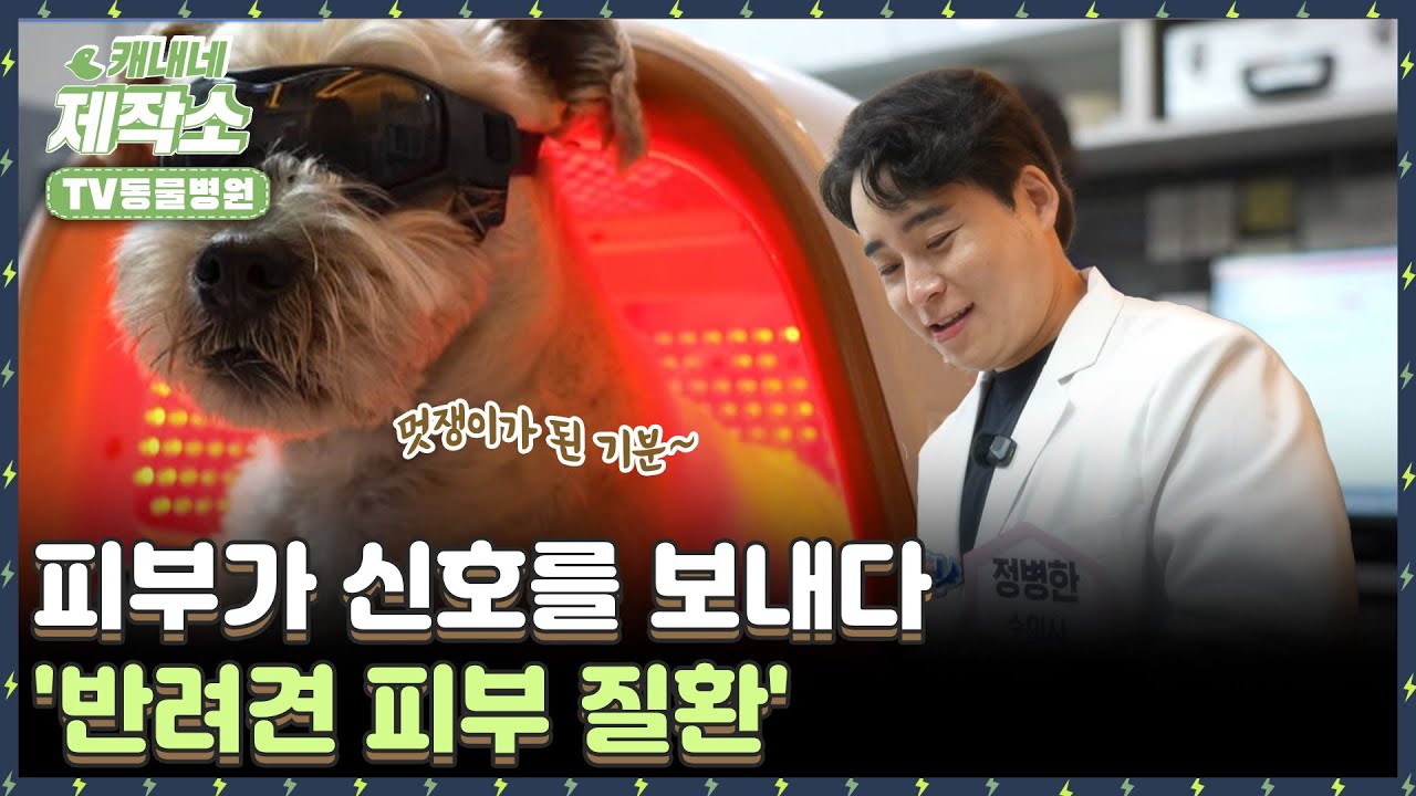 레알 미디어 대표 영상 썸네일